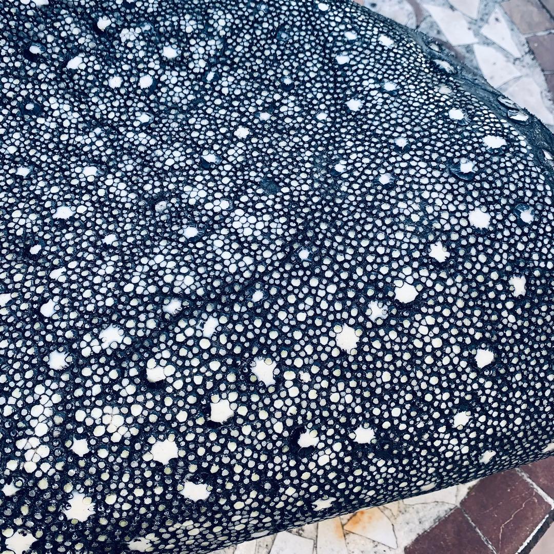 24) イバラエイ スター カイラギ エイ革 stingray ガルーシャ