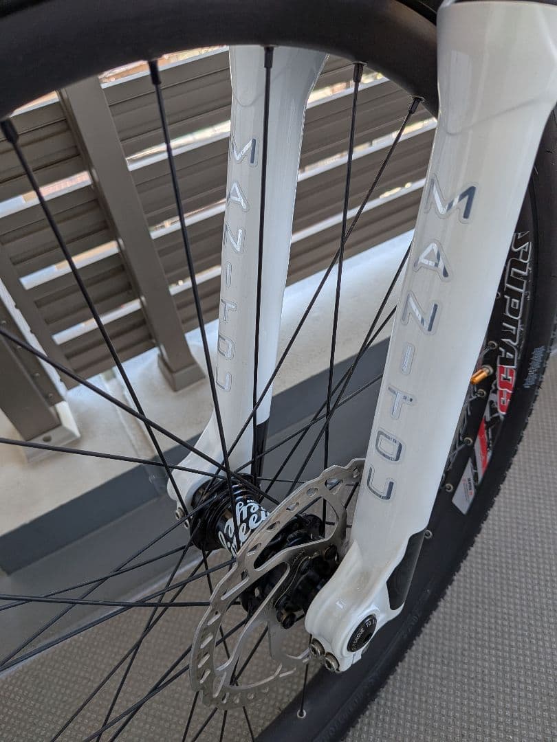 Santa Cruz Jackal　ジャッカル　2020シルバー