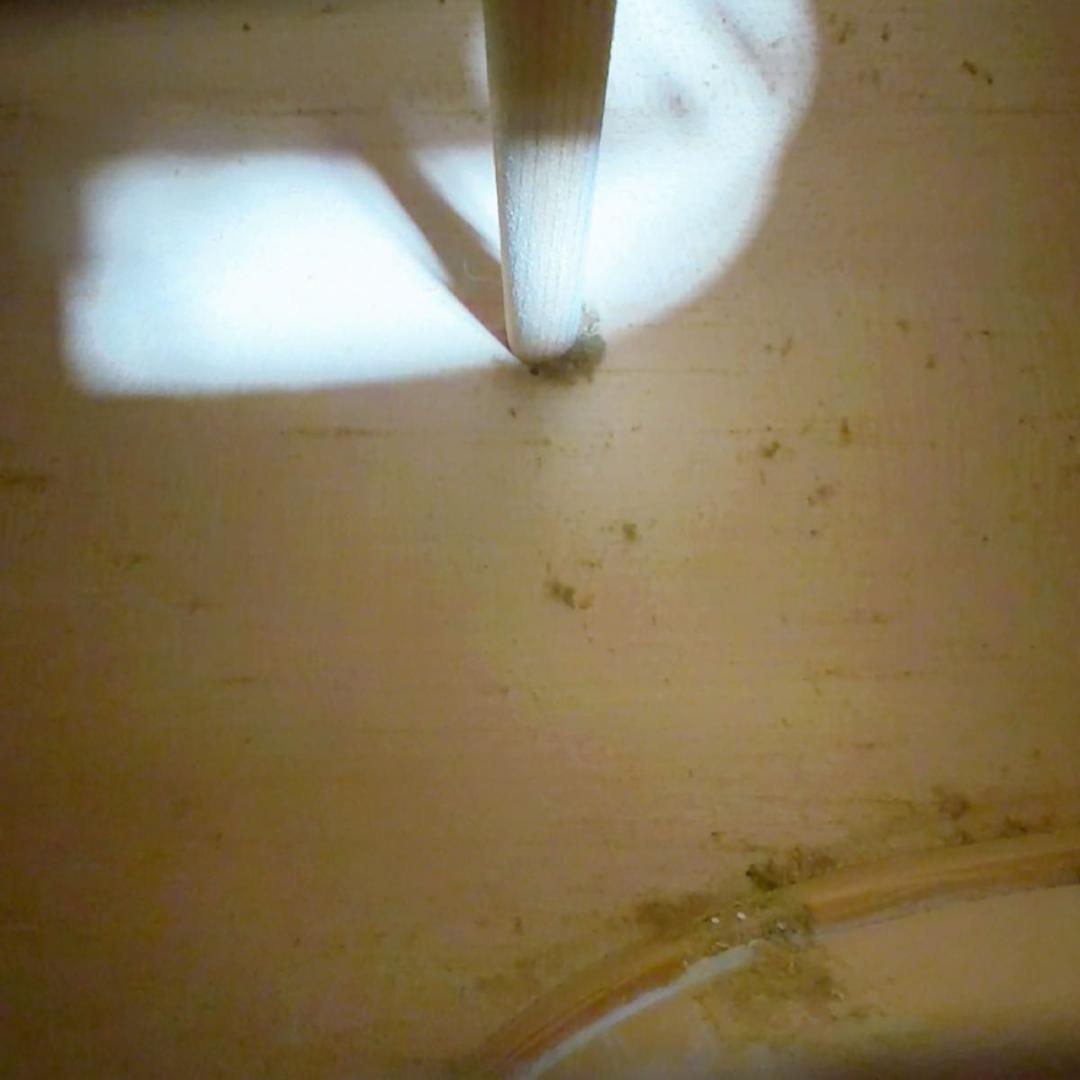 カールヘフナー　anfenger アンフェンガー　チェロ　4/4サイズ　ケース