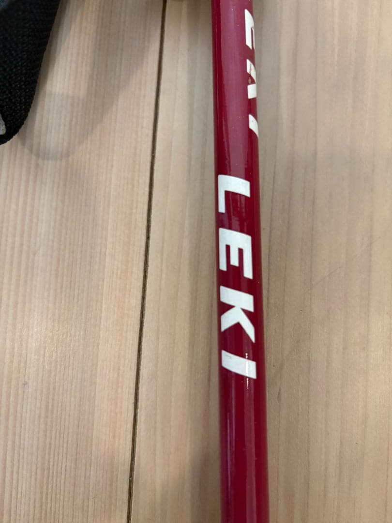 【おまけ付】SINANO（シナノ）フリーFAST α / RD　+　LEKI