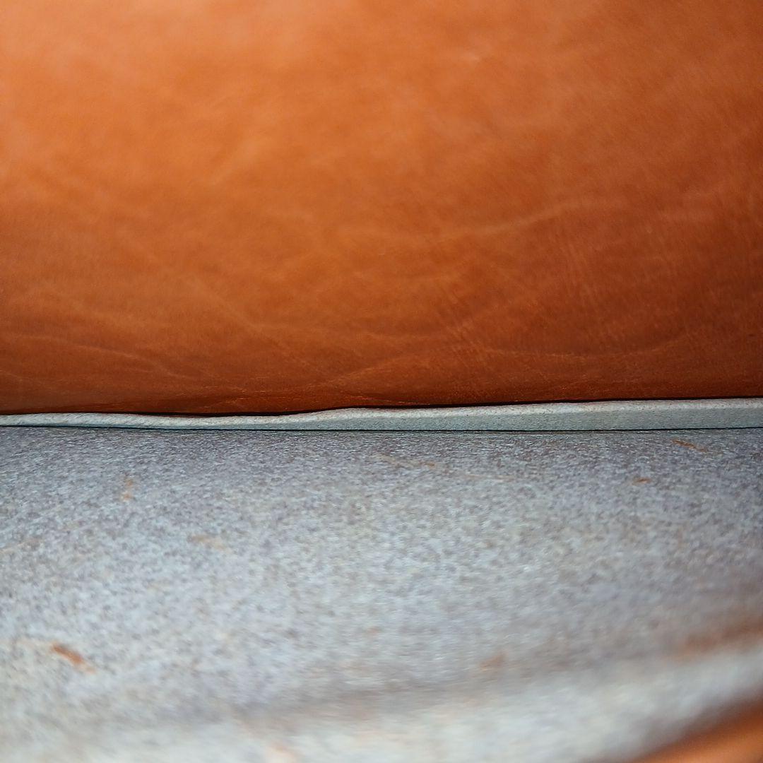 【レア】アルマジロ革 レザー 皮革 長財布 札入れ 茶色 ブラウンカラー