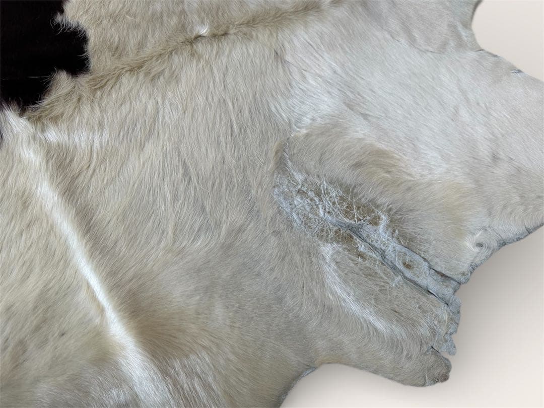 カウラグ　大判　195 × 200　白黒　牛革　毛皮