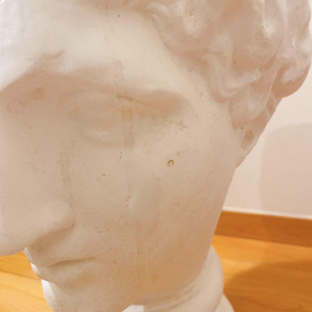 石膏像 パルテノン ラボルト デッサン 首像 インテリア オブジェ