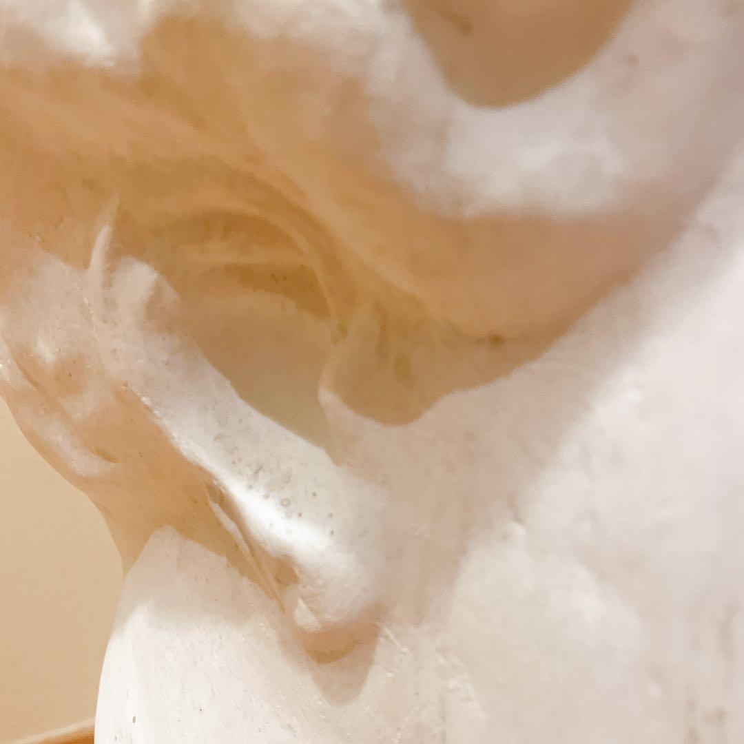 石膏像 パルテノン ラボルト デッサン 首像 インテリア オブジェ