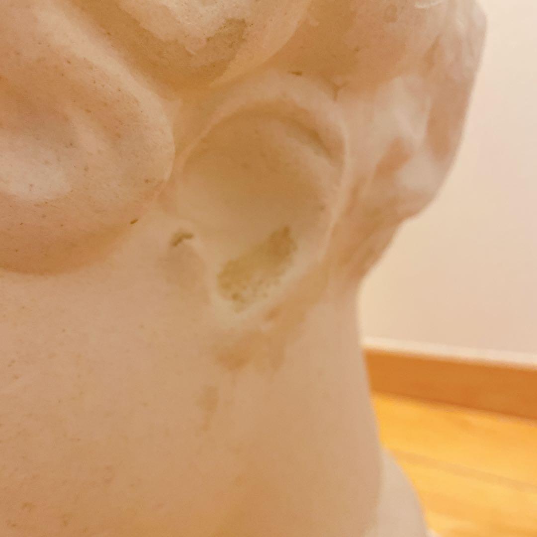 石膏像 パルテノン ラボルト デッサン 首像 インテリア オブジェ