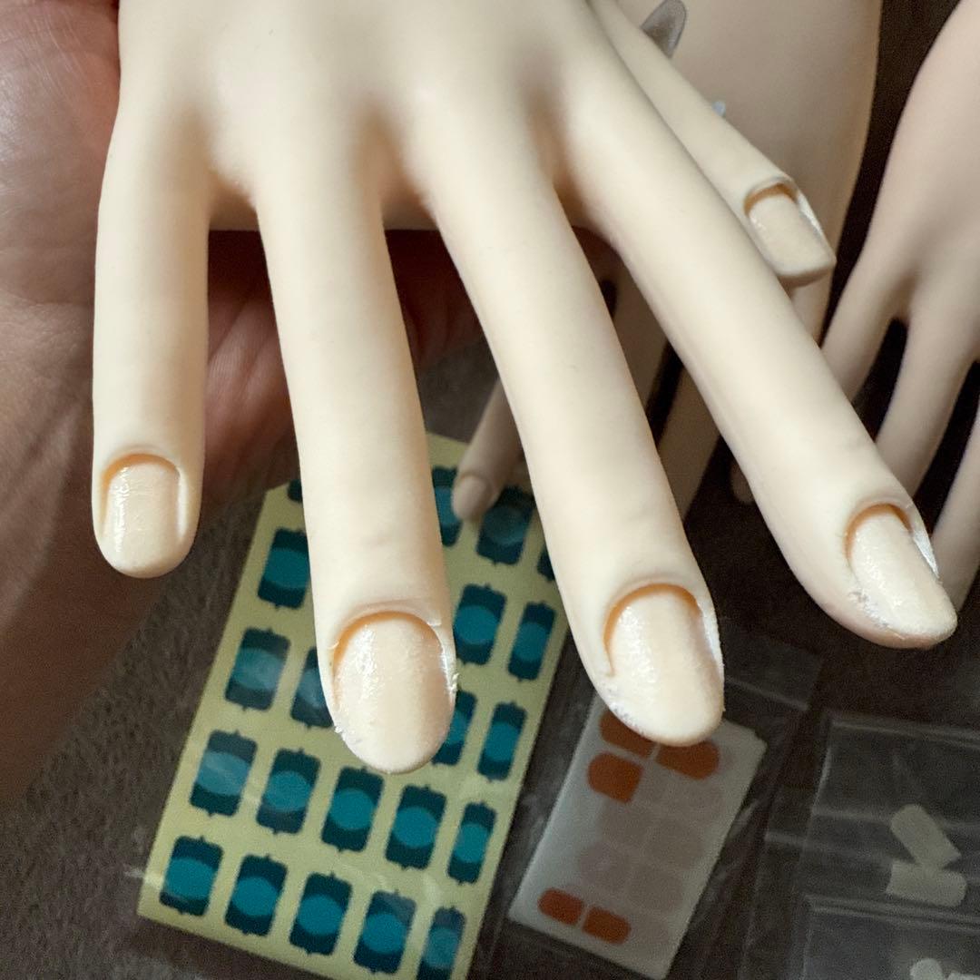 ネイル 認定モデルハンド セット 検定