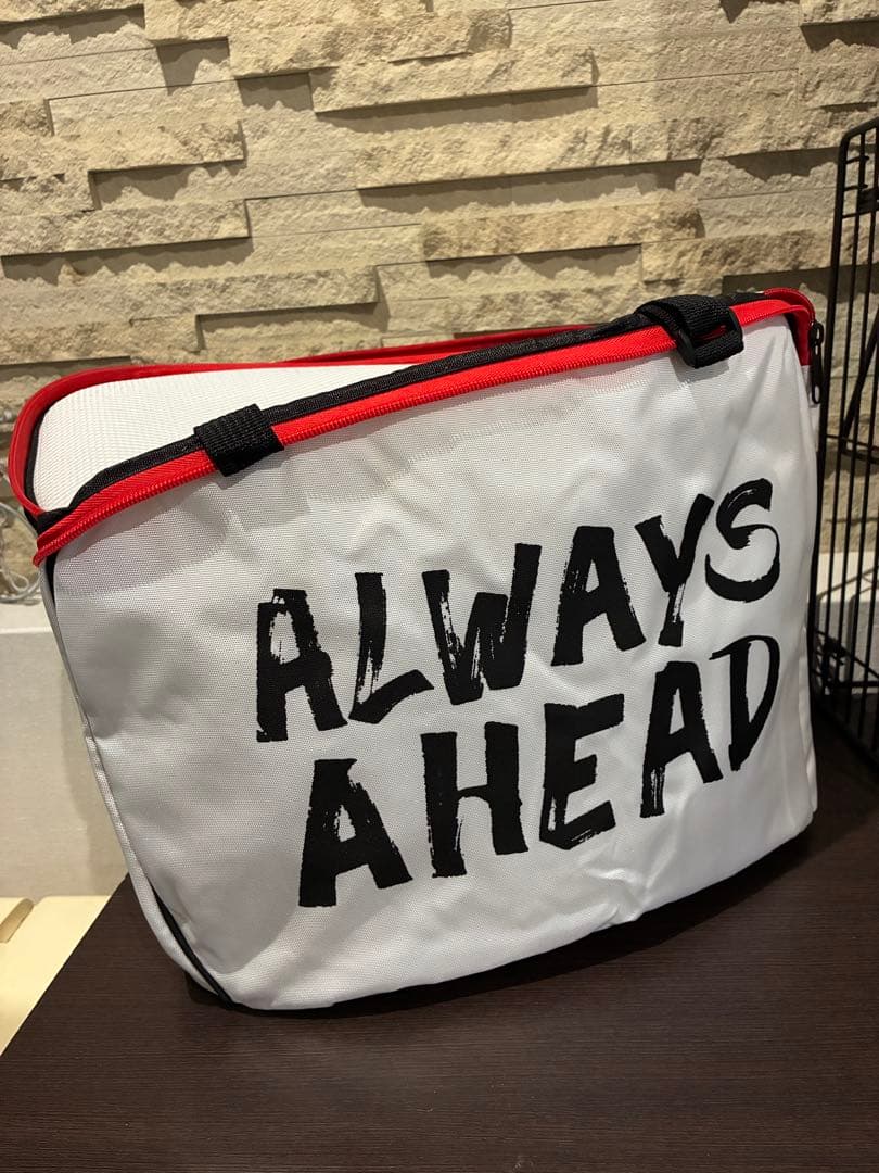 LS2 ヘルメットエルエスツーヘルメット MX701 EXPLORER F