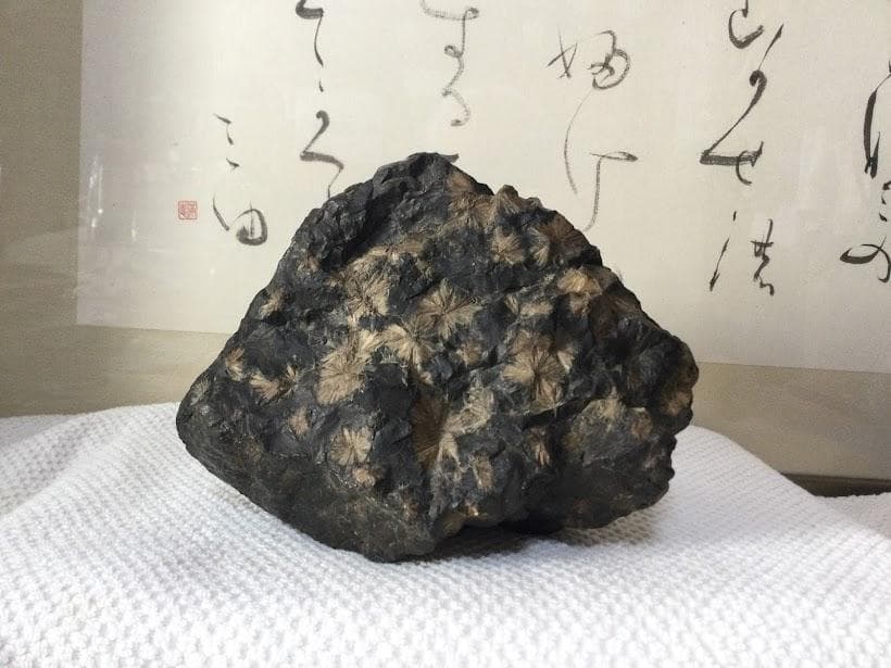 梅花石　珠玉　芒種　鑑賞石 飾り置物 パワーストーン 縁起物