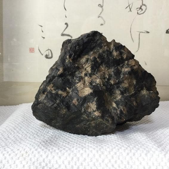 梅花石　珠玉　芒種　鑑賞石 飾り置物 パワーストーン 縁起物