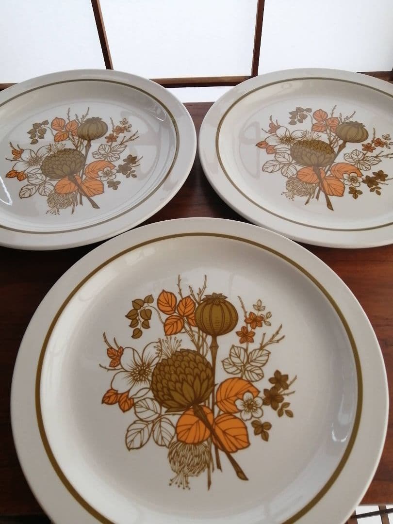 未使用 ビンテージ Midwinter COUNTRYSIDE リム付きプレート