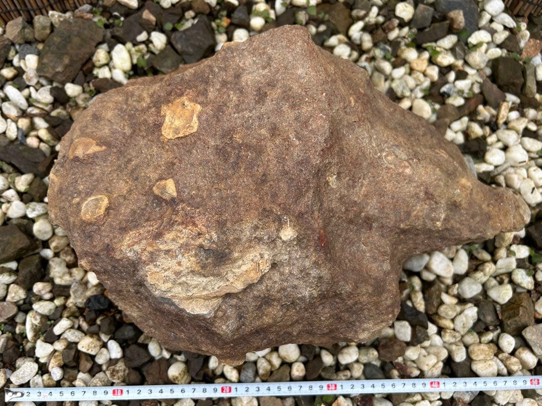 京の銘石『本鞍馬石』