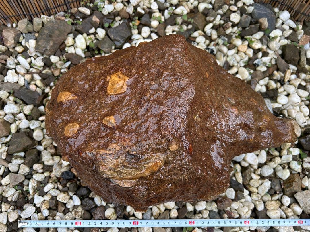 京の銘石『本鞍馬石』