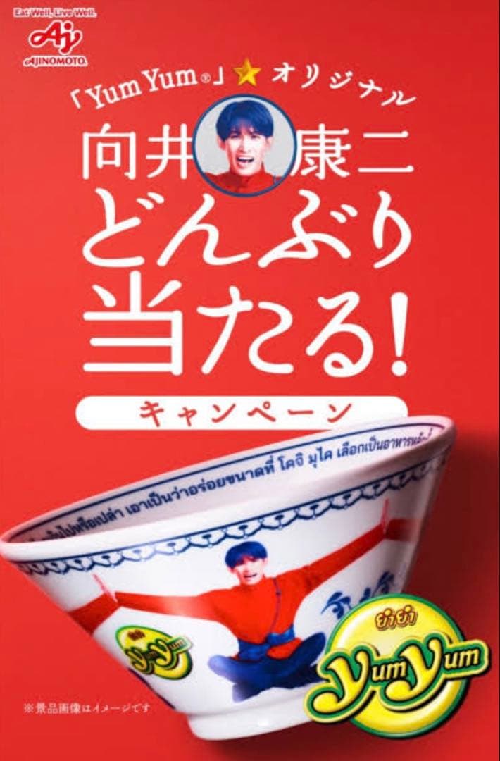 向井康二 YumYum 丼ぶり 陶器製