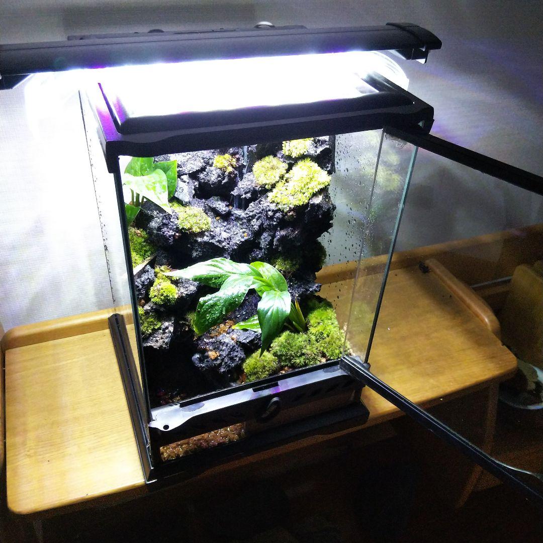 【オーダーメイド】滝のあるアクアテラリウム