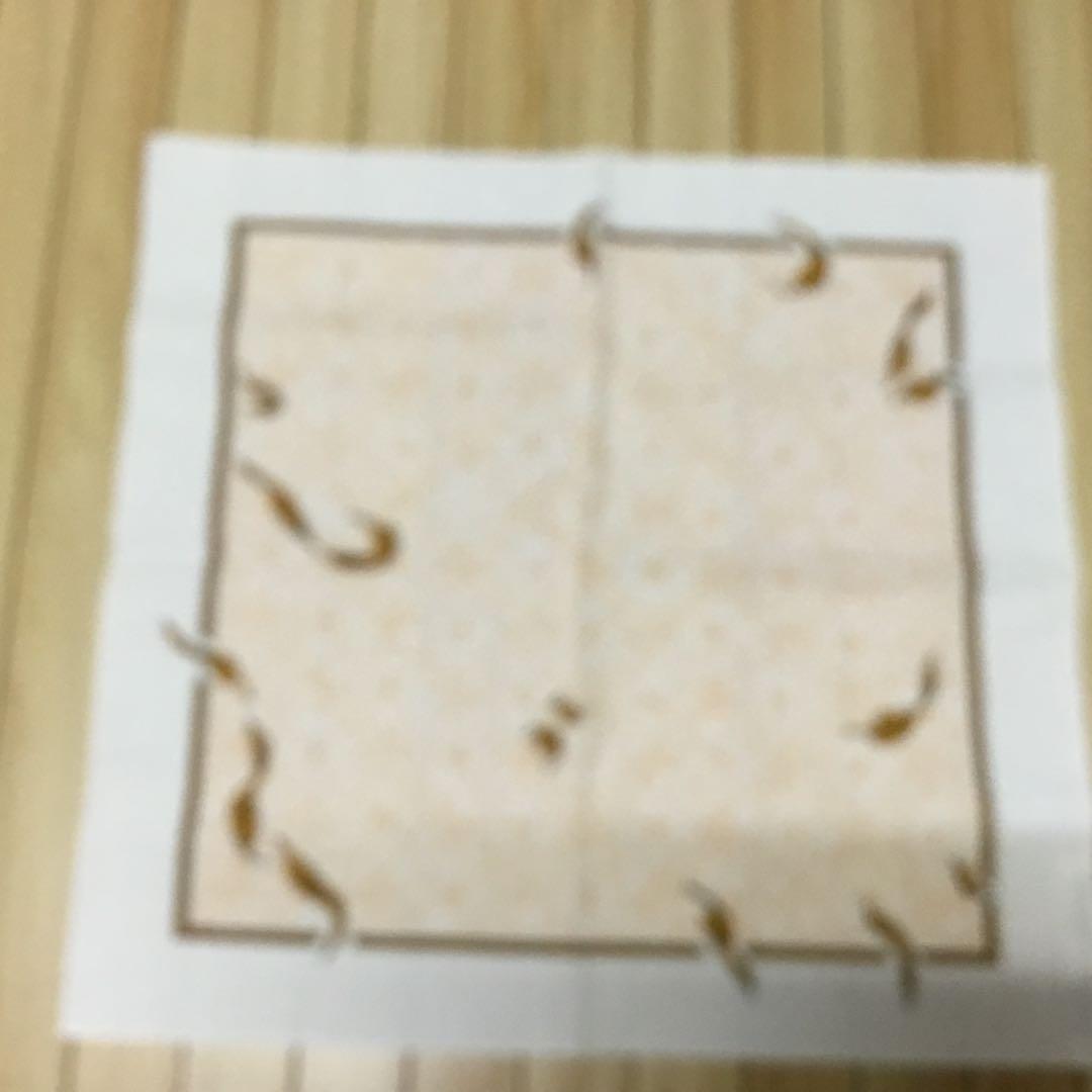 エルメス　ランチョンマット