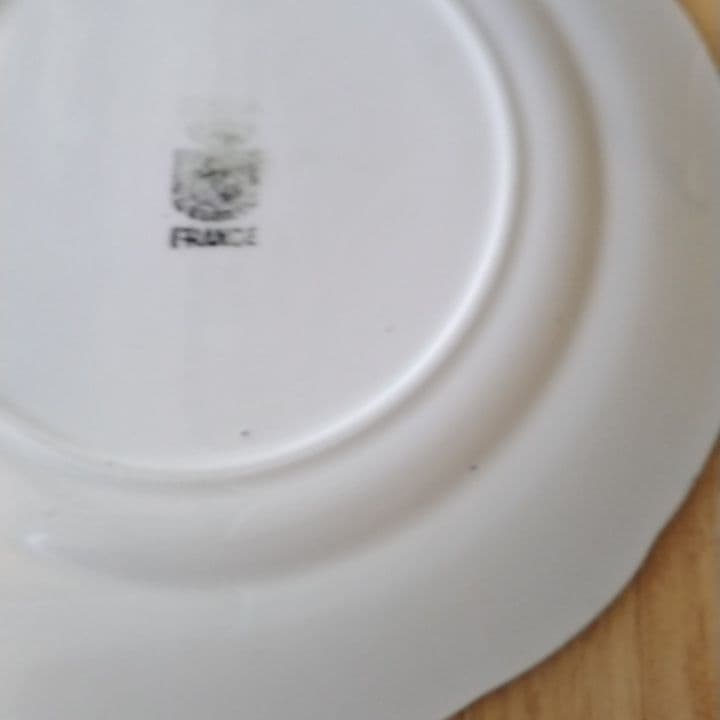【専用】フランスアンティーク　サルグミンヌグリザイユ　デザート皿