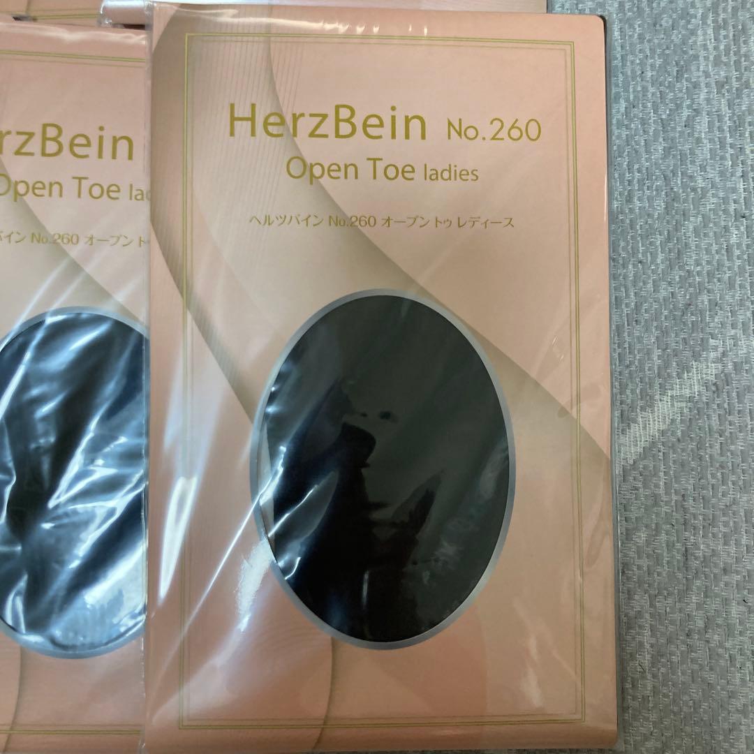 ダイアナ　ヘルツバイン　オープントゥ　新品未使用　Lサイズ　5点セット