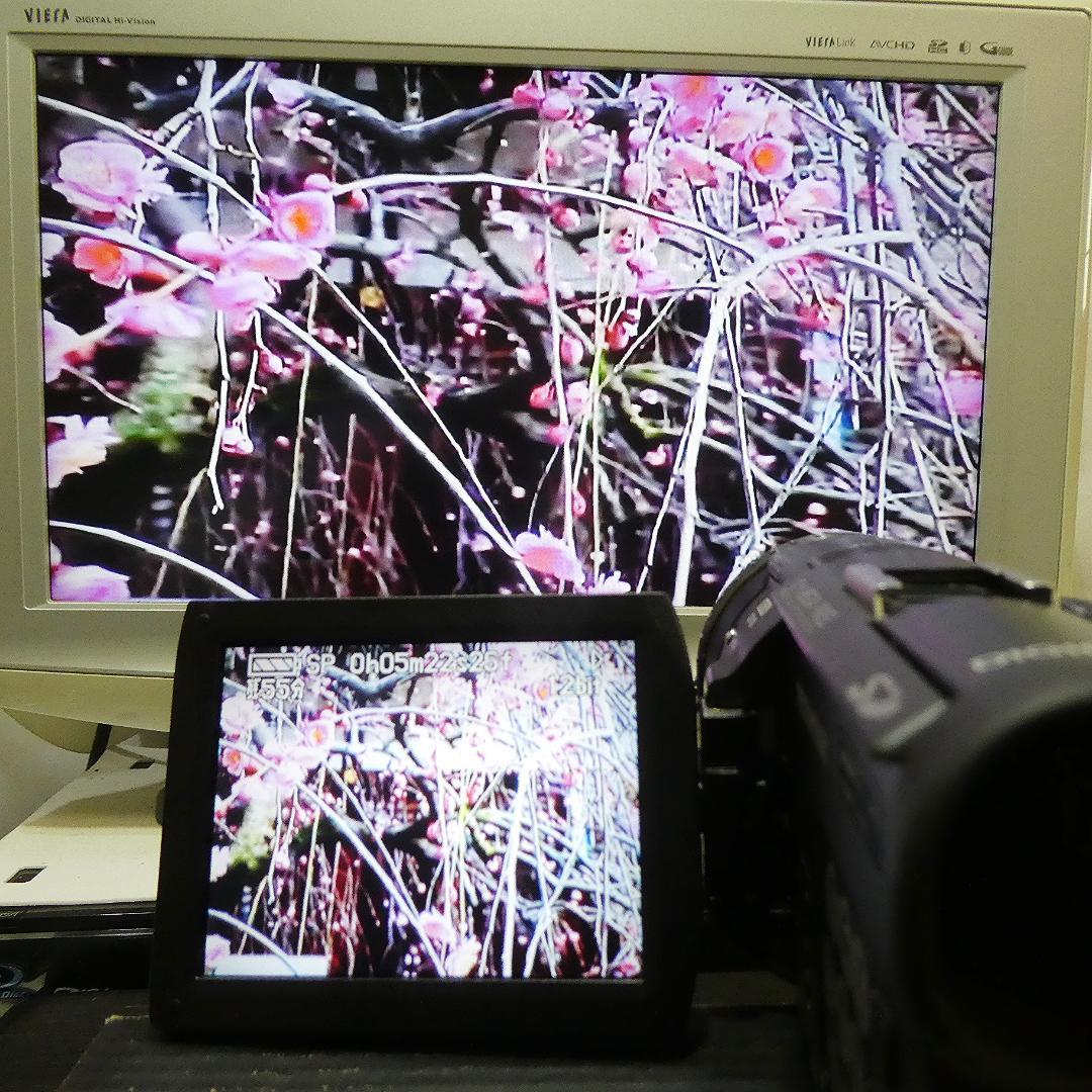 美品・動作良好 パナソニックNV-GS100 MiniDVビデオ　DVD化に最適