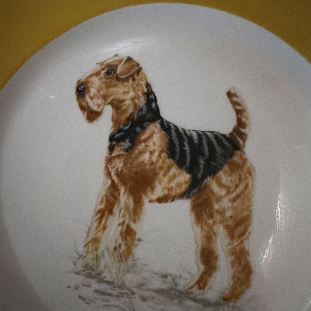 エルメス　エアデールテリア 八角形皿