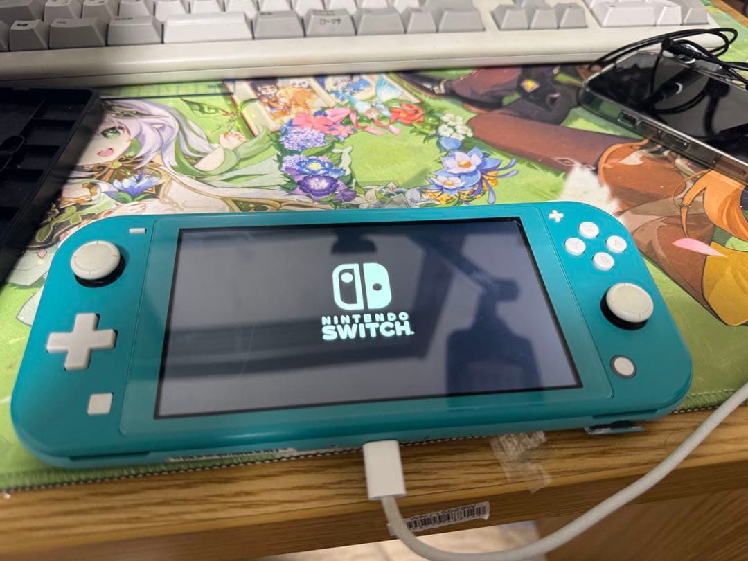 Nintendo Switch Lite ターコイズ 本体 ジャンク
