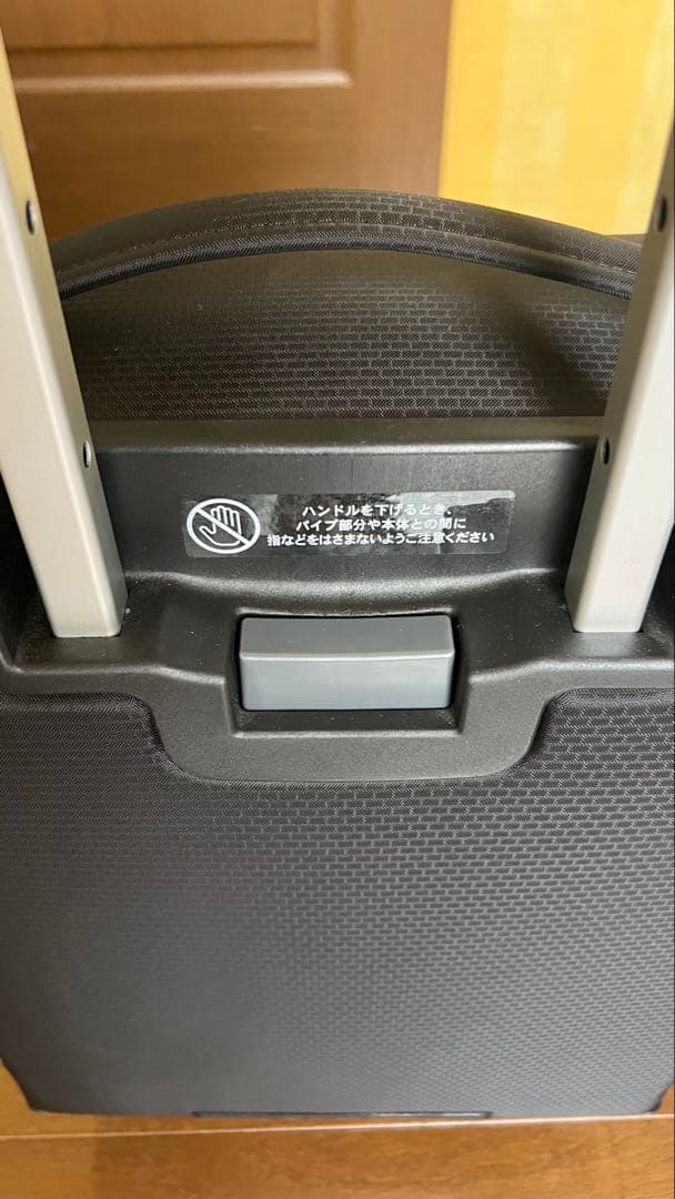 ☆週末限定お値下げ‼️【未使用】ACE PROTECA feenaST 18L