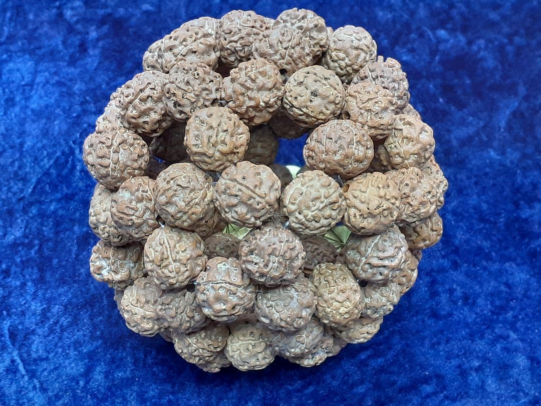 【見本品】ルドラクシャ☆神聖幾何学フラーレン☆菩提樹の実☆シブァの涙　展示品