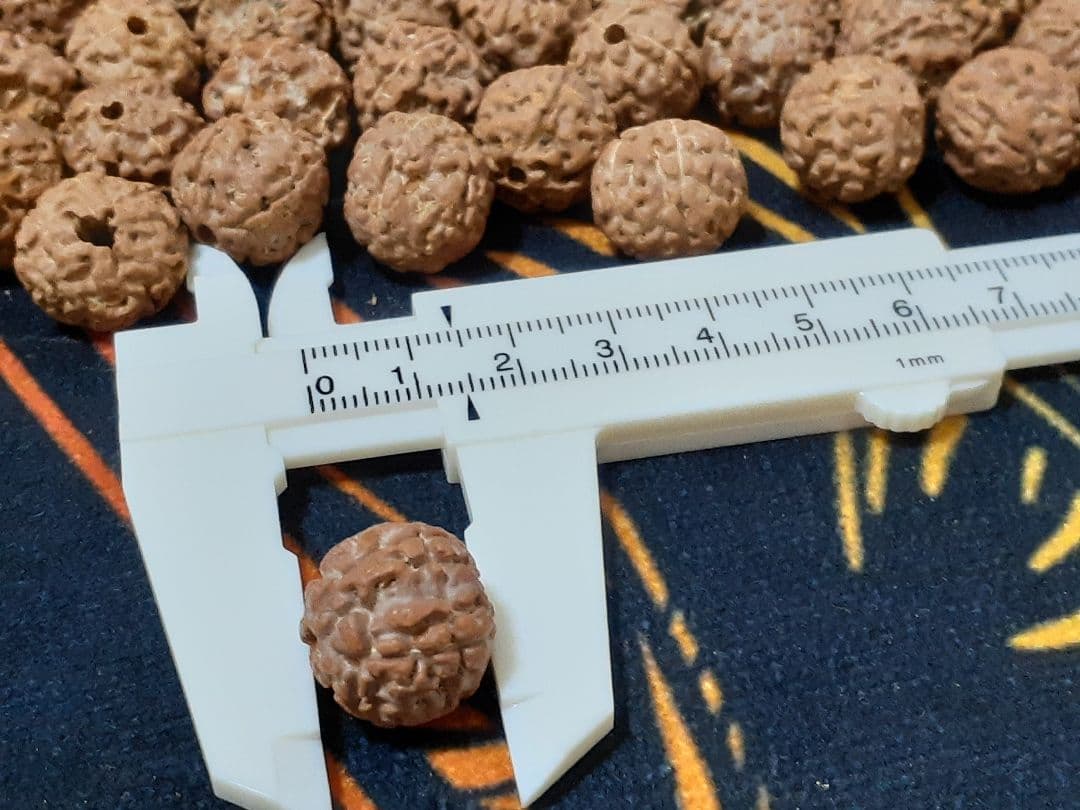 【見本品】ルドラクシャ☆神聖幾何学フラーレン☆菩提樹の実☆シブァの涙　展示品