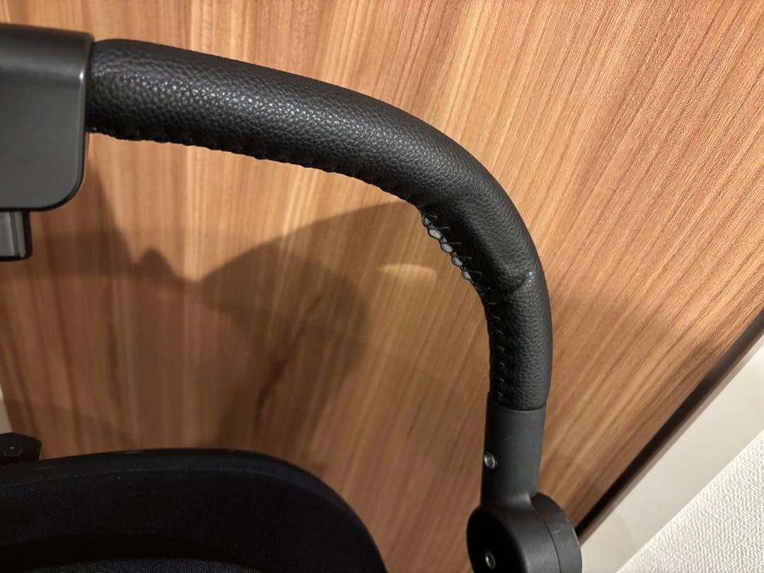 サイベックス メリオカーボン 2024