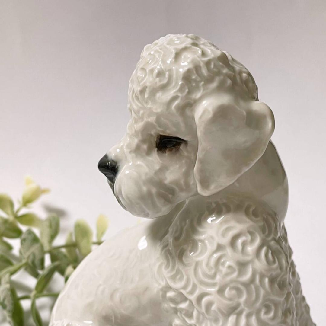 ローゼンタール ROSENTHAL プードル 犬 フィギュリン F