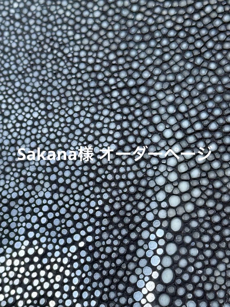 Sakanaページです!