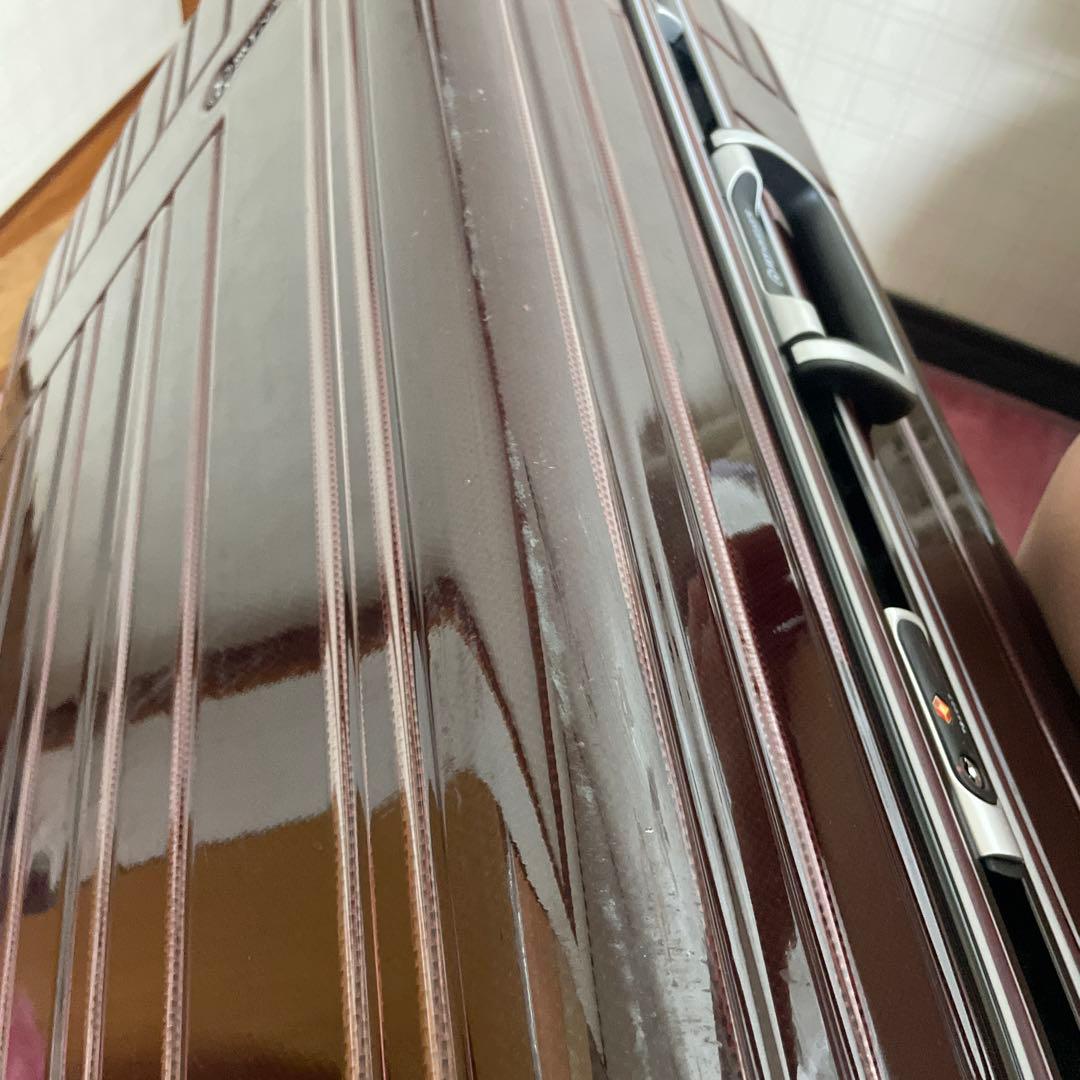 早い者勝ち　大型 Skynavigator スカイナビゲーター キャリーケース