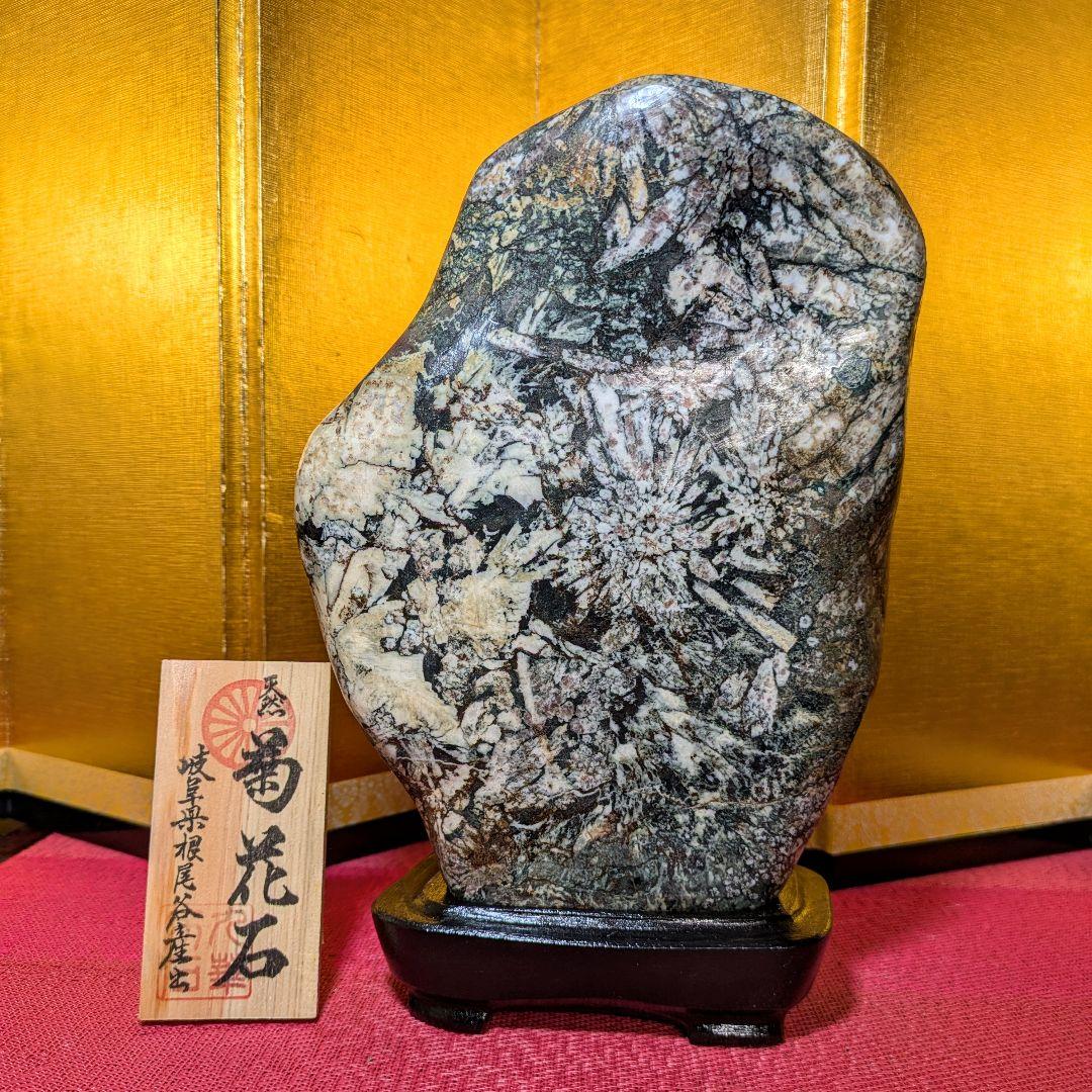 菊花石 縦横型 岐阜県根尾谷産4.8㌔ 鑑賞石 観賞石 水石 盆石 天然石 置物