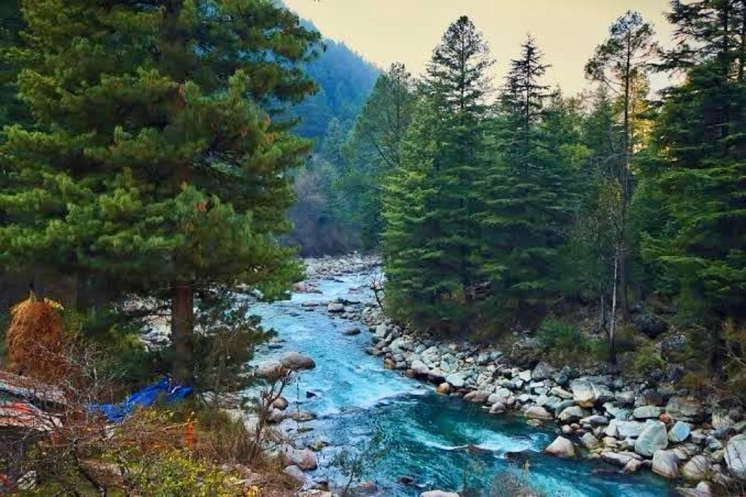 ムラヤマ様　究極品質　ヒマラヤ最高峰のパワー　幻のオーロラファントムマニカラン