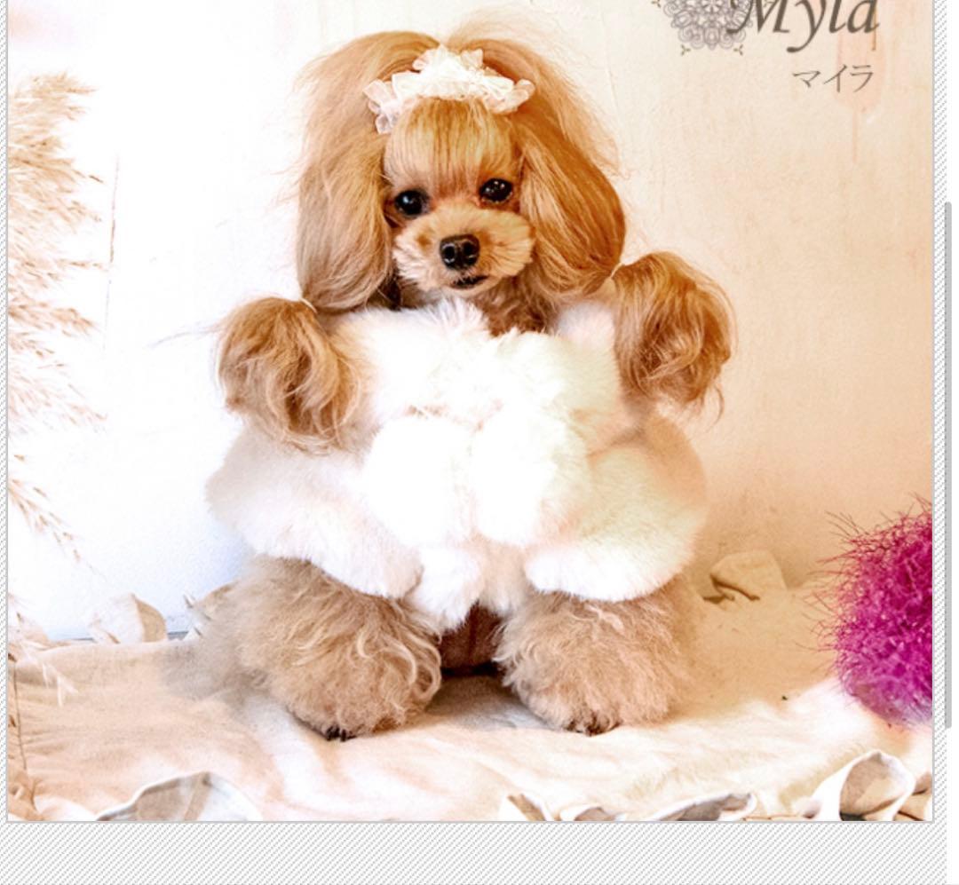 グラマーイズム　マイラ　S ピンク