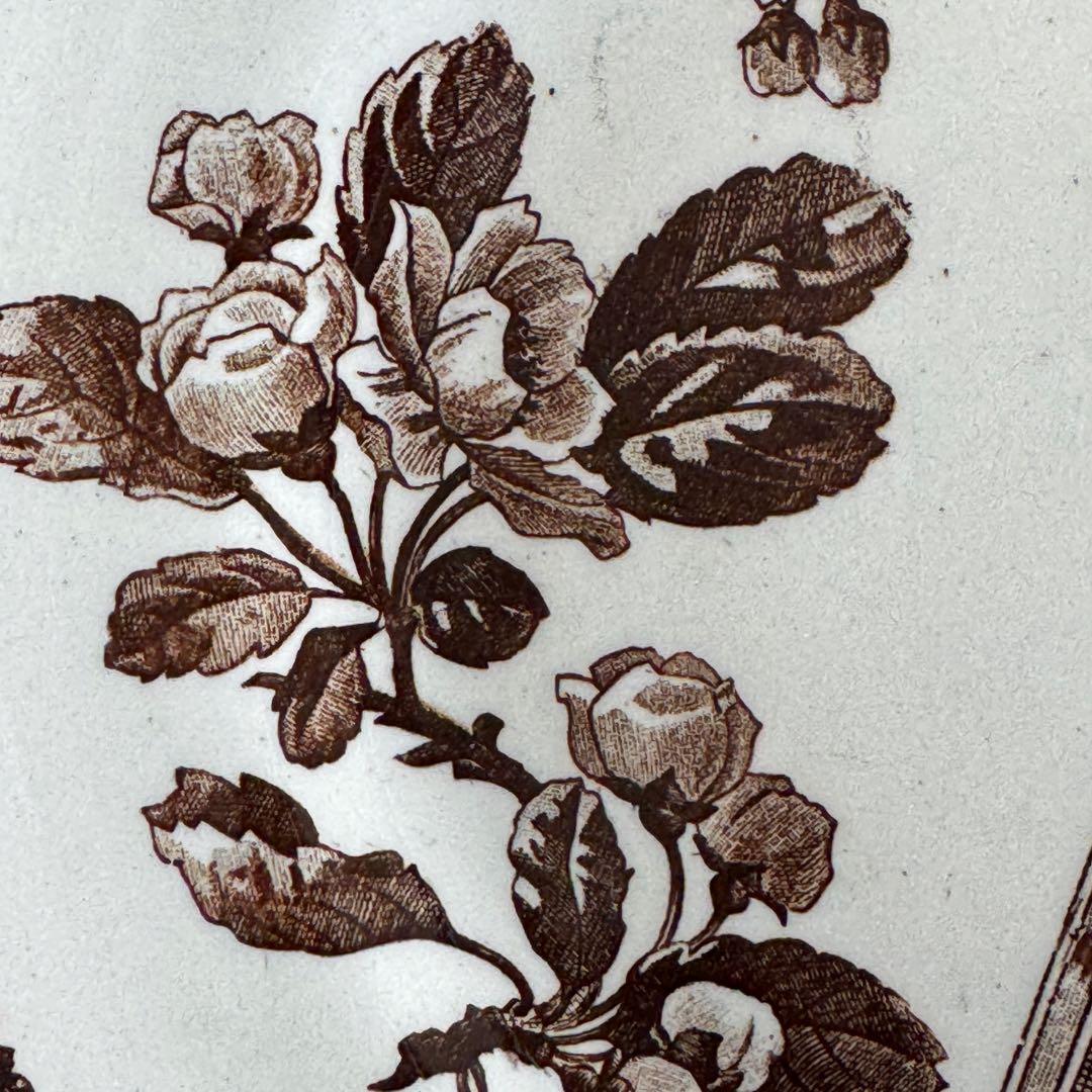 フランスアンティーク　E.Bourgeois エミールブルジョワ　ディナー皿