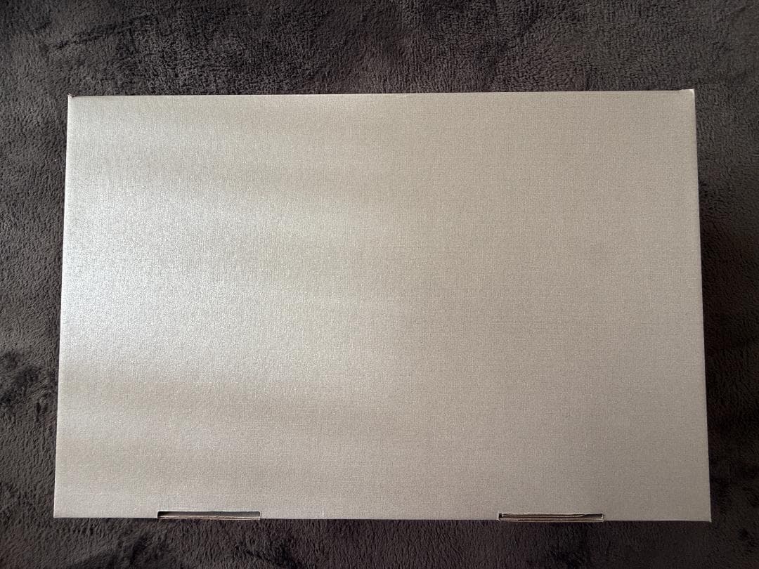 26cm 新品未使用　にゅ～ず『GRAY』10周年限定モデル