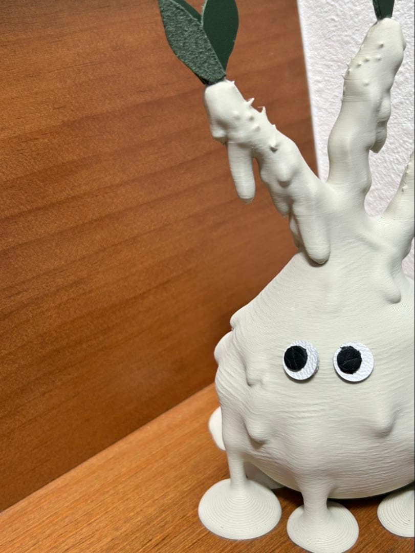 たちまち　グラキリス　3Dプリンター　レザークラフト　オブジェ　塊根植物