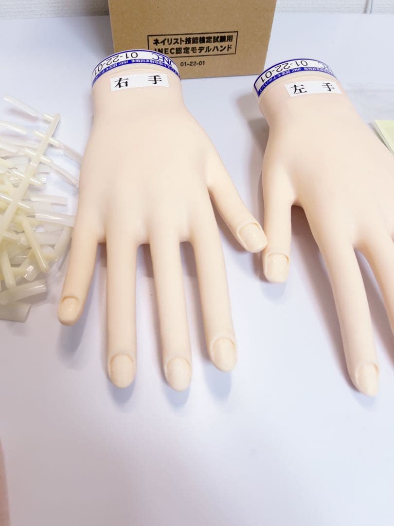 美品　タキガワ　JNEC認定モデルハンド　検定用認定ハンド　STモデルハンド