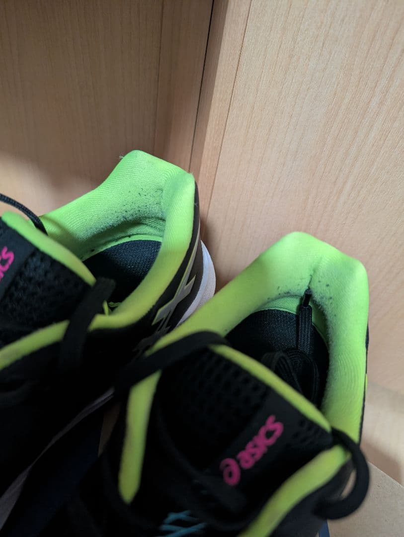 スカイエリート FF 3 スポーツデポ・アルペン限定カラー 27センチ