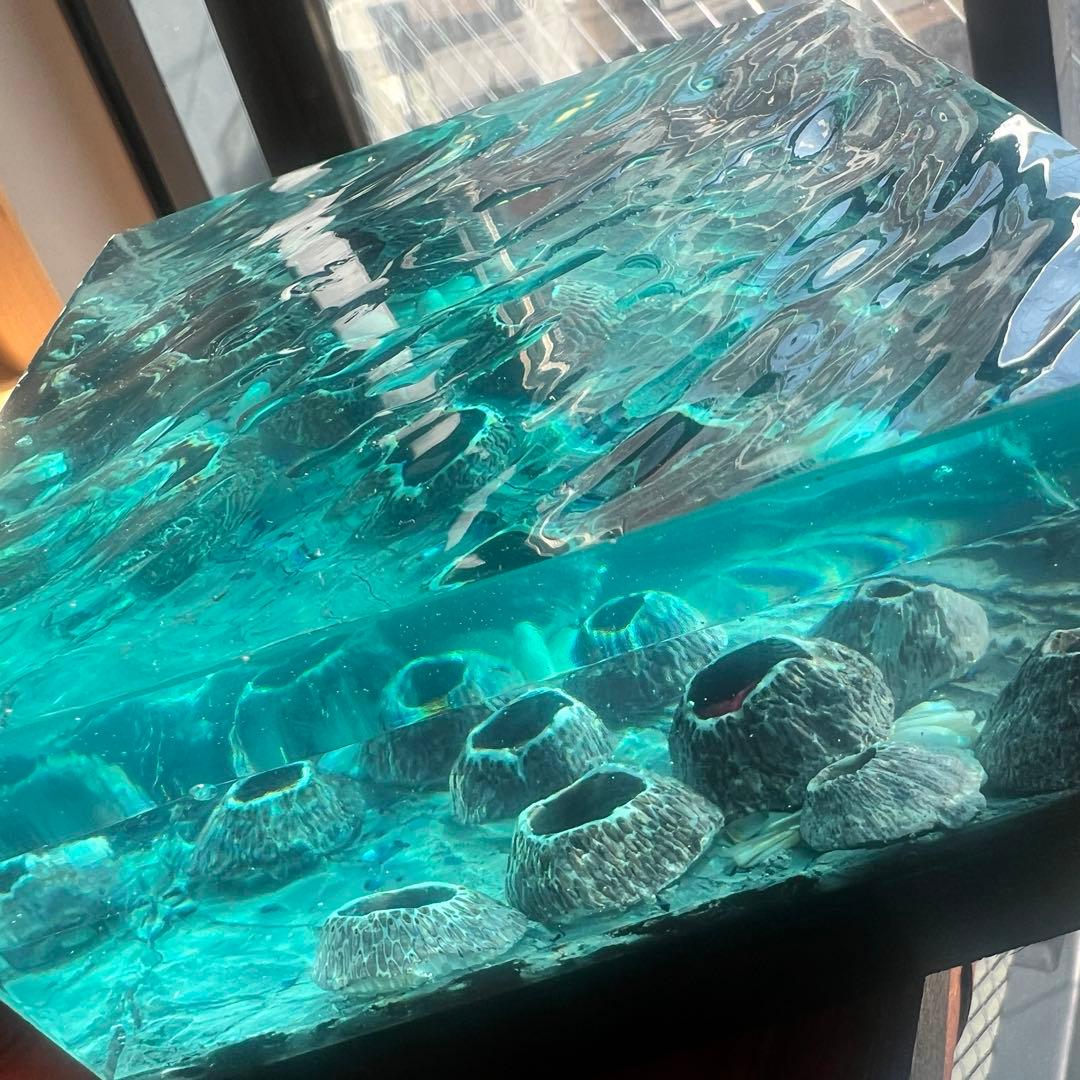 【波紋アート】Real Ocean／barnacle／フジツボ／10cmプリズム