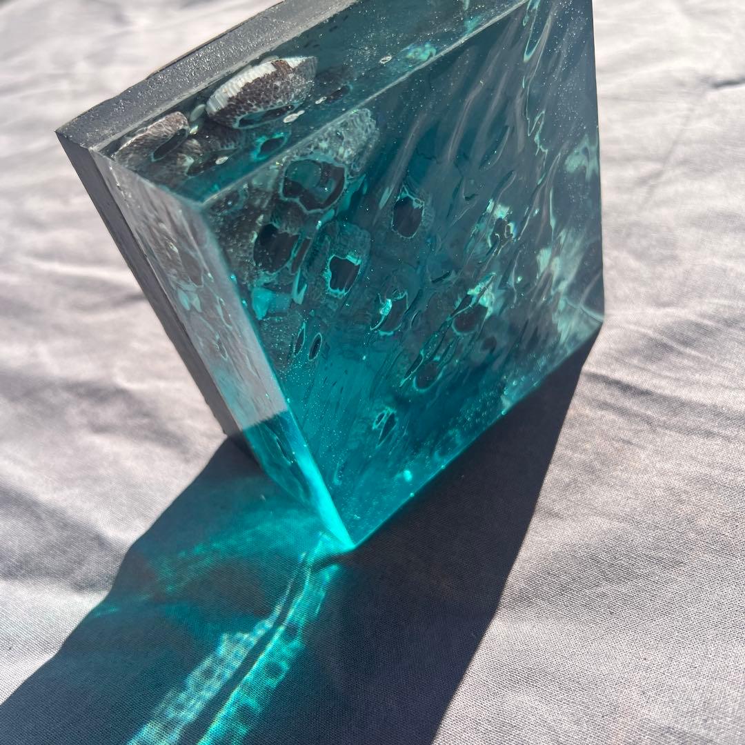 【波紋アート】Real Ocean／barnacle／フジツボ／10cmプリズム