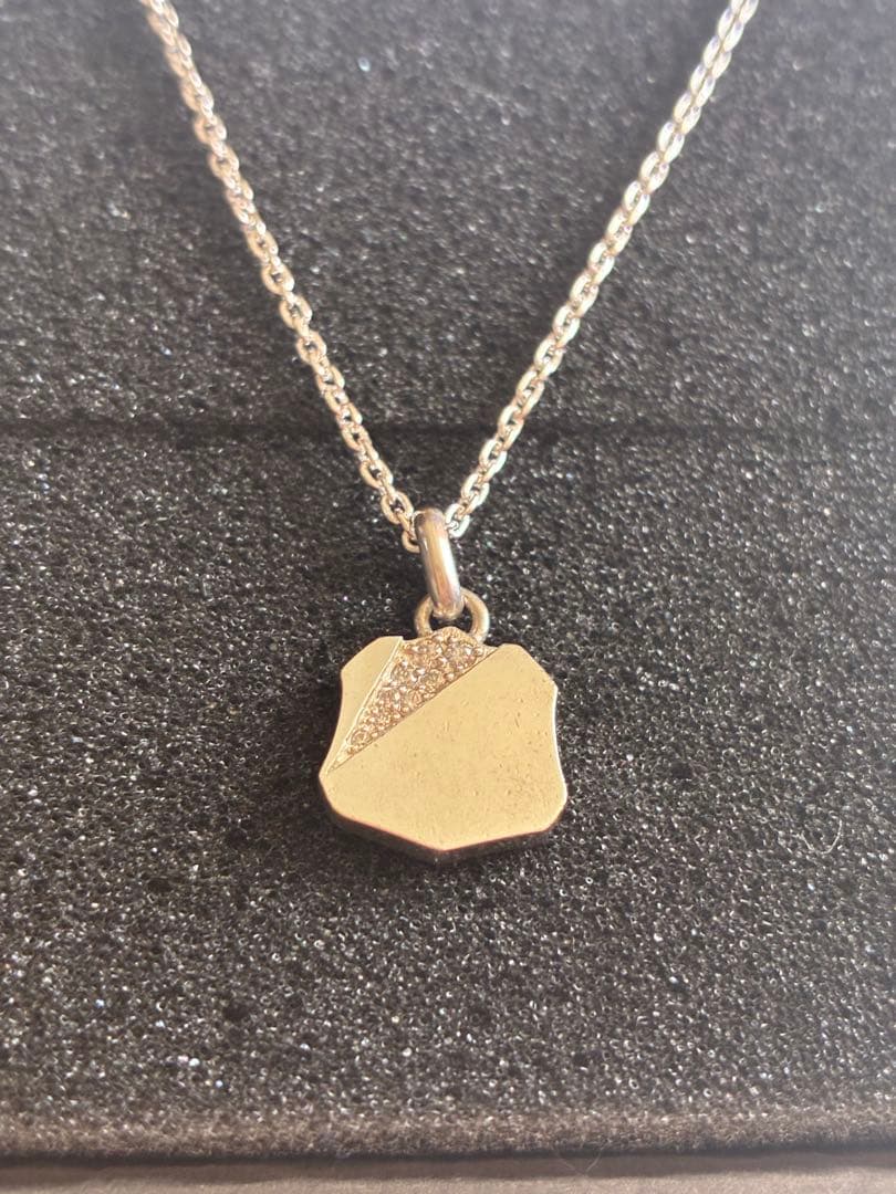 よ*や様 美品　AVIREX 50th限定 アクセサリー ネックレス