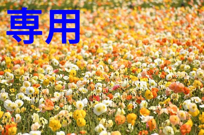 ナナクロさん専用