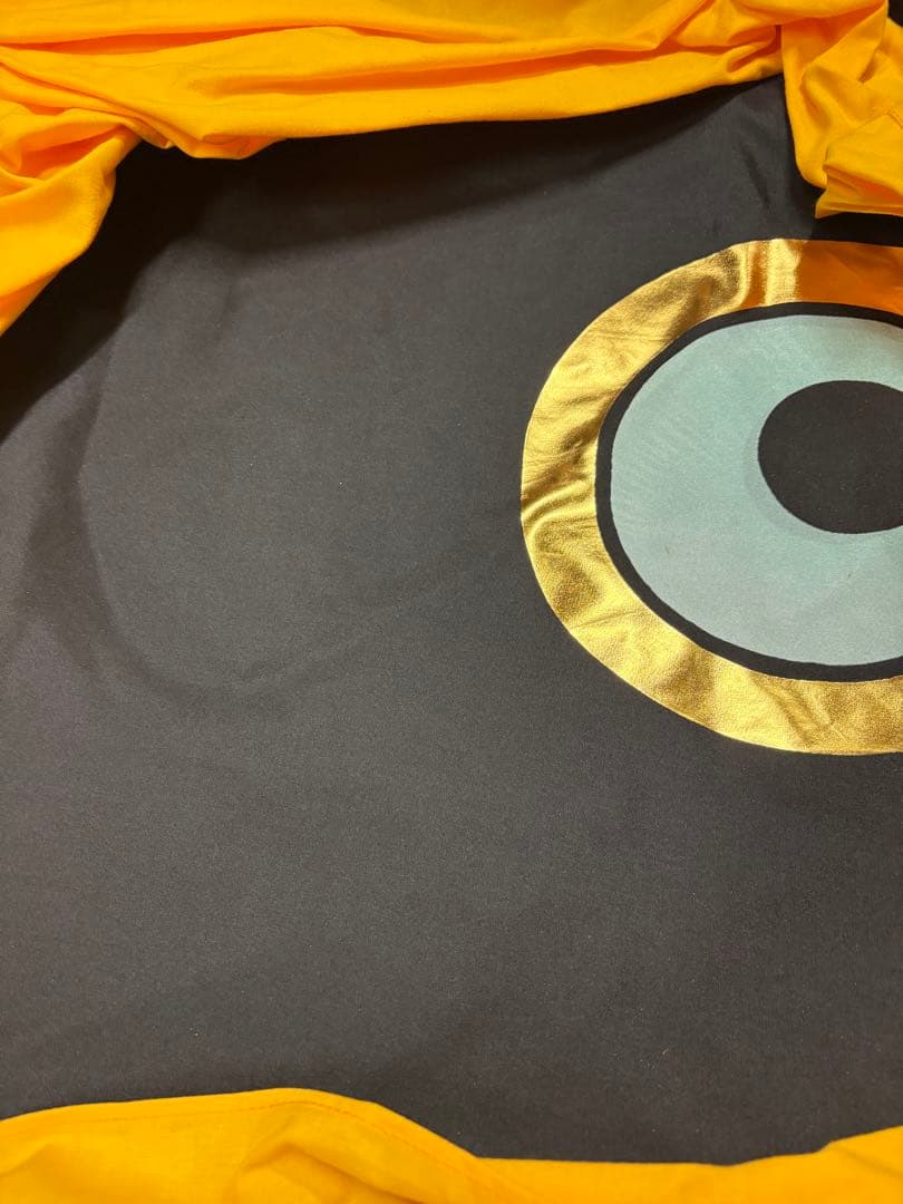 手染　廣重　伝統太郎鯉 5Mセット