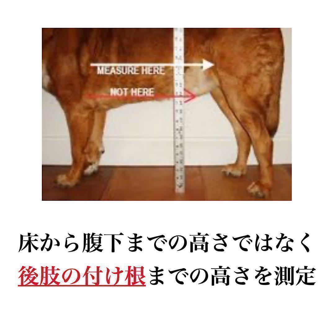 総額16万円以上　犬用車椅子　介護用品 Walkin Wheels シニア犬