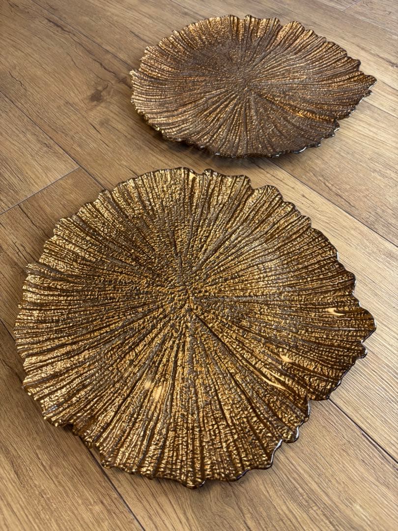 メゾンドゥファミーユ 大皿 2枚 メインディッシュ チャージャープレート 希少