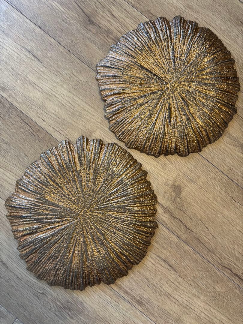 メゾンドゥファミーユ 大皿 2枚 メインディッシュ チャージャープレート 希少