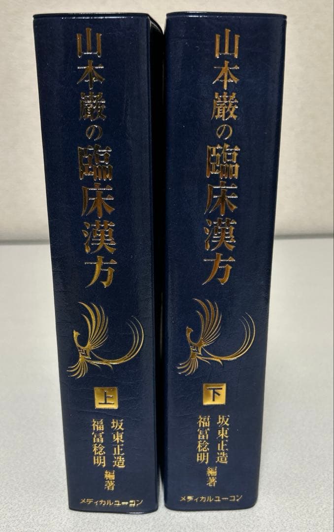 山本巌の臨床漢方