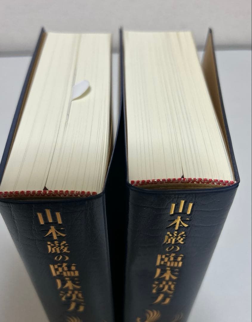 山本巌の臨床漢方