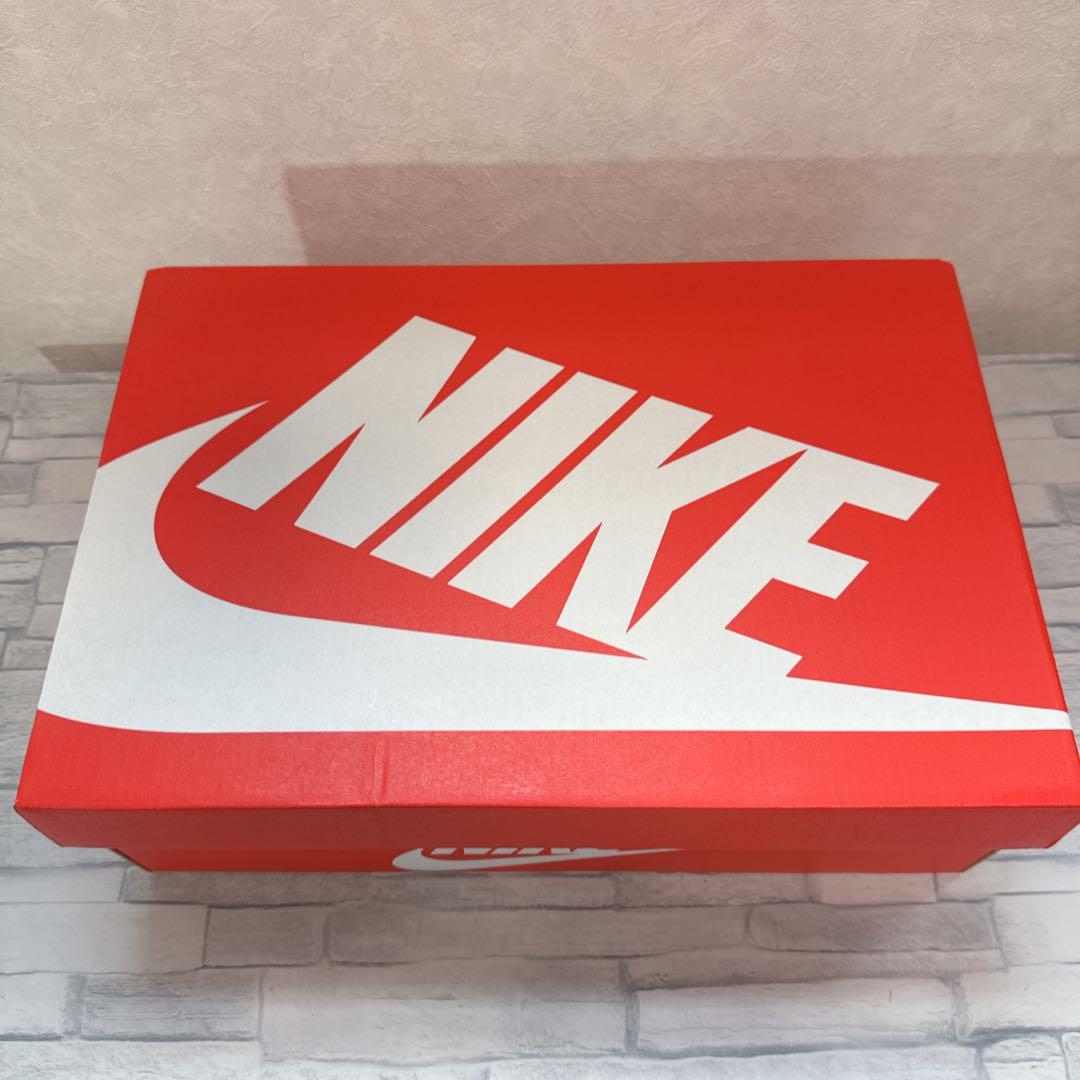 【箱付き】　NIKE ナイキ　ダンクロー DUNK LOW RETRO 28cm